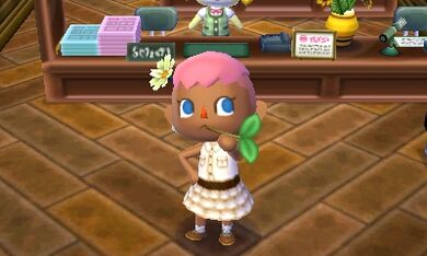 Tan | Animal Crossing Wiki | Fandom