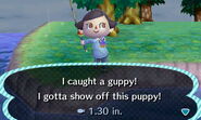 Guppy in New Leaf.