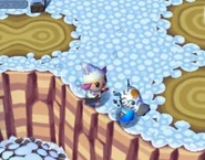 Savana ac.jpg (87 kio) Savana dans Animal Crossing