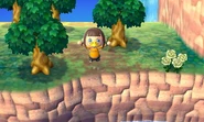 It is possible to jump off the cliff in New Leaf.