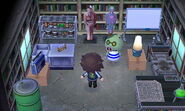 La maison de Porken dans New Leaf