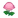 NH-pink mum icon