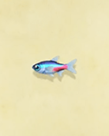 Neon Tetra Animal Crossing Wiki Fandom We provide millions of free to download high definition png images. neon tetra animal crossing wiki fandom