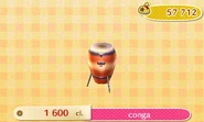Conga