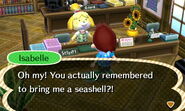 Isabelle after returning a seashell.