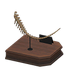 NH-Furniture-brachiotail.png