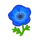 Anémone(s) bleue(s)