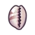 NH-cowries-icon