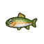 Rainbow Trout HHD Icon.png
