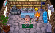 La maison de Tigri dans New Leaf