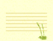 PG-Horsetail paper