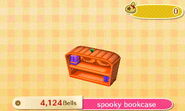 Spooky Bookcase