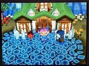 Maison agrandie au maximum dans Wild World.