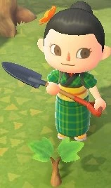 Money tree | Animal Crossing Wiki | Fandom