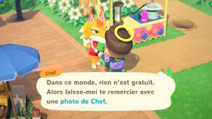 Photo chef-ACNH