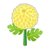 Chrysanthème jaune ACPC.png (9 kio)