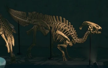 Parasaurolophus
