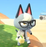 Raymond/Gallery | Animal Crossing Wiki | Fandom