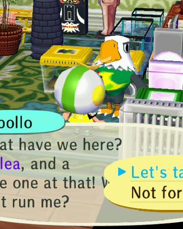 Flea Market Animal Crossing Wiki Fandom Find enough garage sales to fill your weekend and pick up a bargain. flea market animal crossing wiki fandom