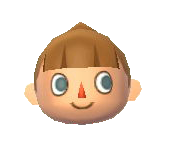 Hair Style Guide Animal Crossing Wiki Fandom