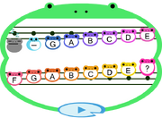 TownTune BasicLayout