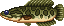 Giant snakehead (Wild World).png