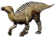 Un iguanodon réel