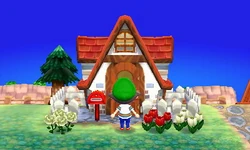 Une maison avec un toit visible dans New Leaf