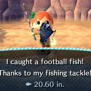 Football fish animal crossing clearance