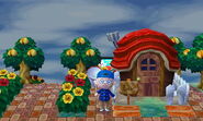 L'extérieur de la maison de Ketchup dans New Leaf - Welcome amiibo