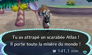 Un joueur ayant attrapé un scarabée Atlas dans New Leaf
