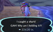 Catching a great white shark in New Leaf