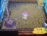 La maison de Kali dans Wild World