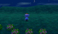 A player standing beyond the bushes on the cliff in Main Street.