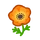 Anémone(s) orange