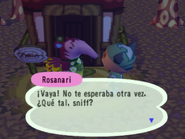 Jugador hablando con Rosanari