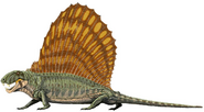Reconstitution d'un dimétrodon