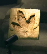 L'empreinte de dinosaure dans New Horizons