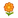 NH-orange cosmos-icon