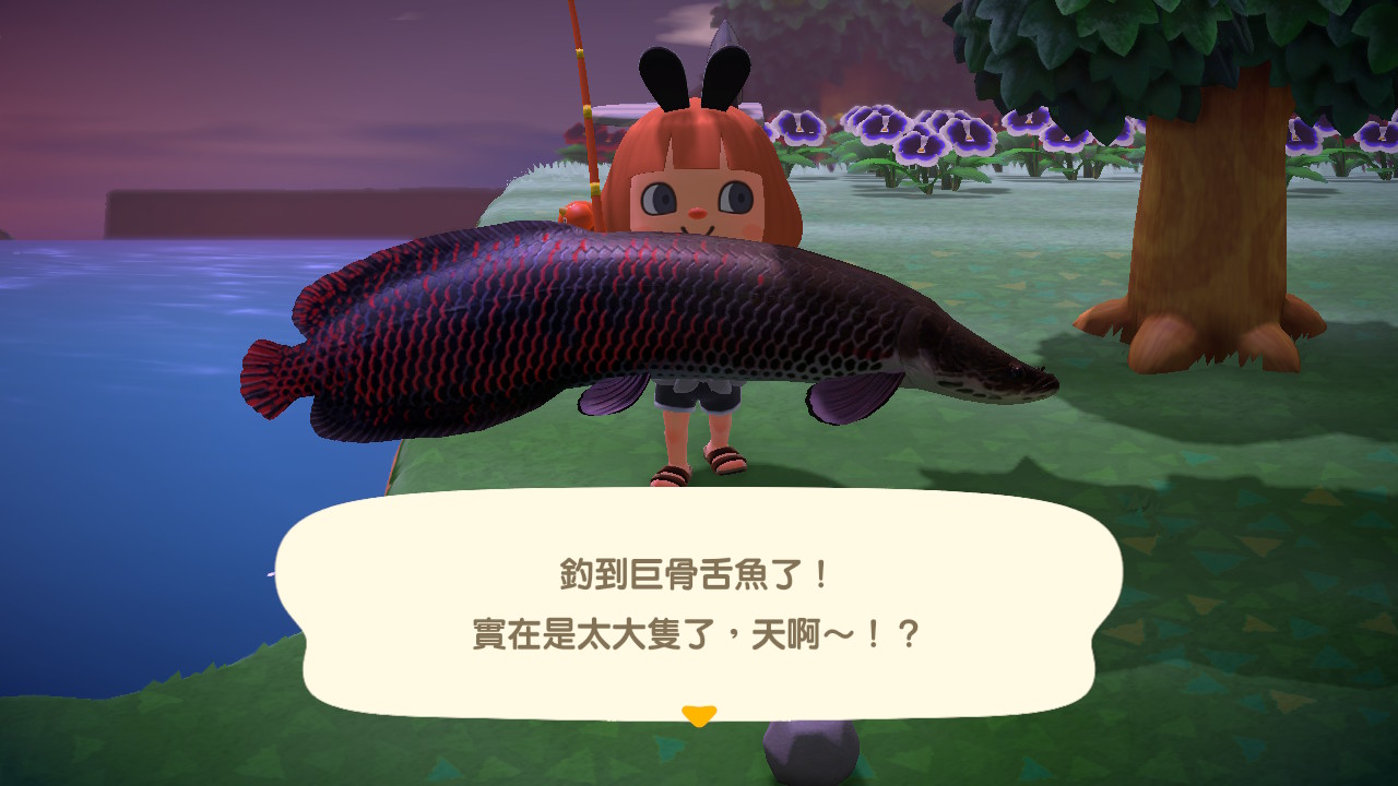 巨骨舌魚 動物森友會wiki Fandom 巨骨舌魚 動物森友會wiki Fandom