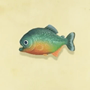 Piranha Animal Crossing Wiki Fandom