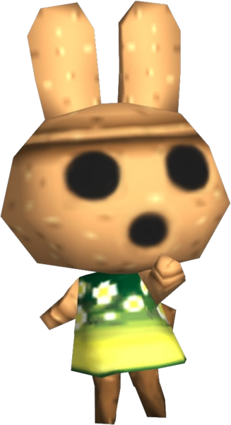 Coco Animal Crossing Wiki Fandom