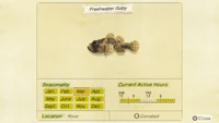 NH-encyclopedia-Freshwater goby