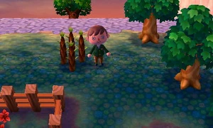 Second growth stage.