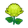 NH-green mums-icon.png