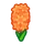 Jacinthe(s) orange