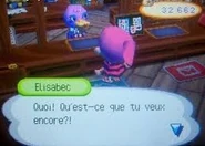 Quoi!!.jpg (20 kio) Élisabec agressive envers le joueur dans Wild World