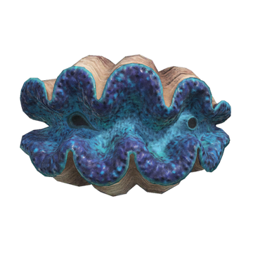 Giant clam wiki sale