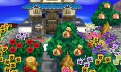 Money tree | Animal Crossing Wiki | Fandom