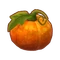 Int fst05 pumpkin cmps
